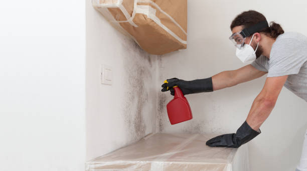 Professional Mold Removal technician working in Harrisburg, NC