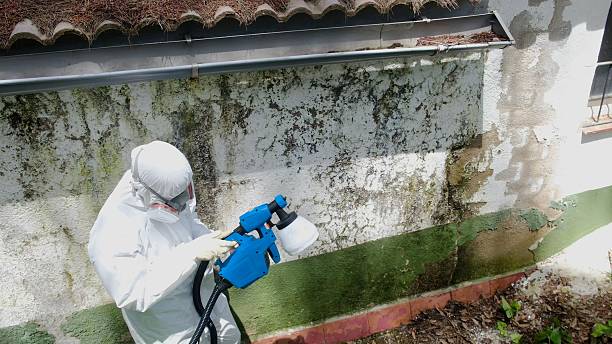 Top rated local Mold Remediation specialists in Harrisburg, NC
